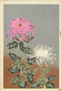 大野麦風 菊 | 浮世絵 | 原書房 神田神保町