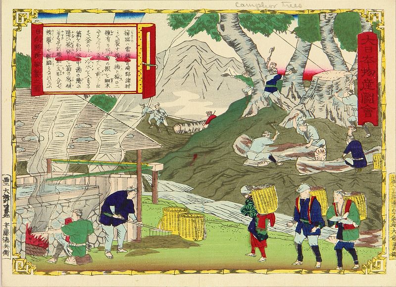 浮世絵、大日本物産圖會河内國、三代広重画、