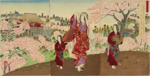 清親 彫画共進会之内小野小町 | 浮世絵 | 原書房 神田神保町