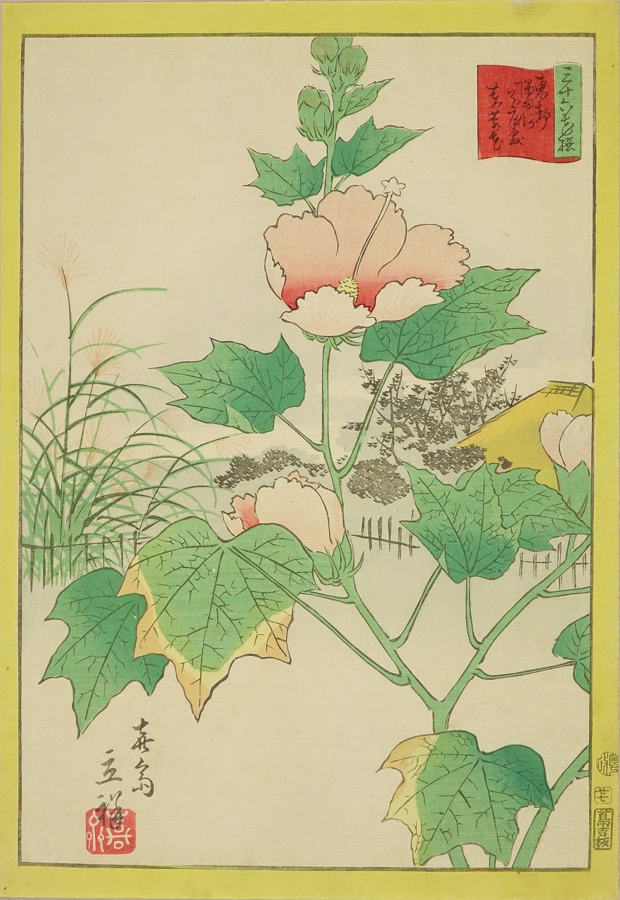 立祥 三十六花撰 廿七 東都隅田河 花屋敷 芙蓉花 浮世絵 原書房 神田神保町