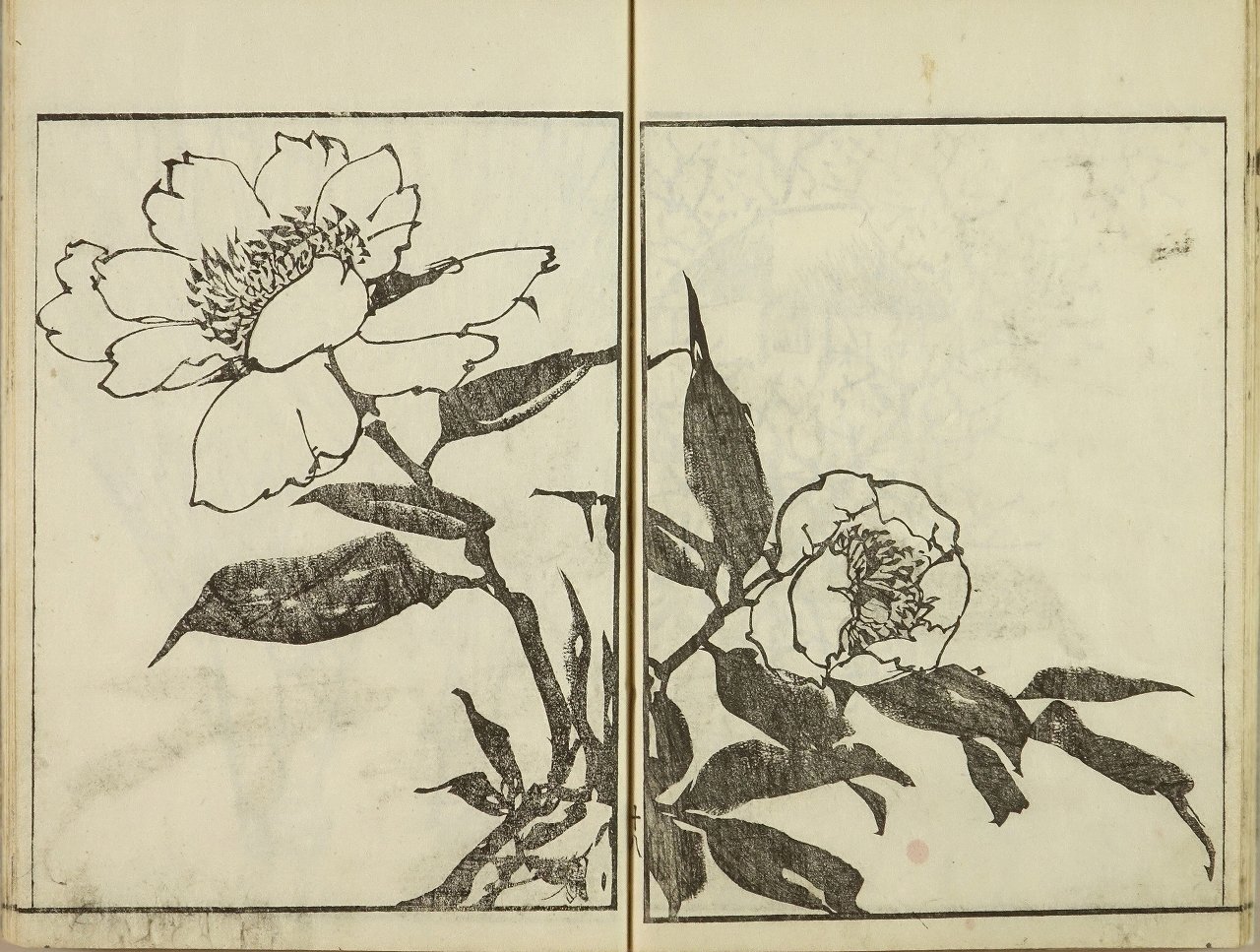 河村文鳳 文鳳画譜 河村文鳳画 文化4年(1807) 元表紙 元題箋 極少汚
