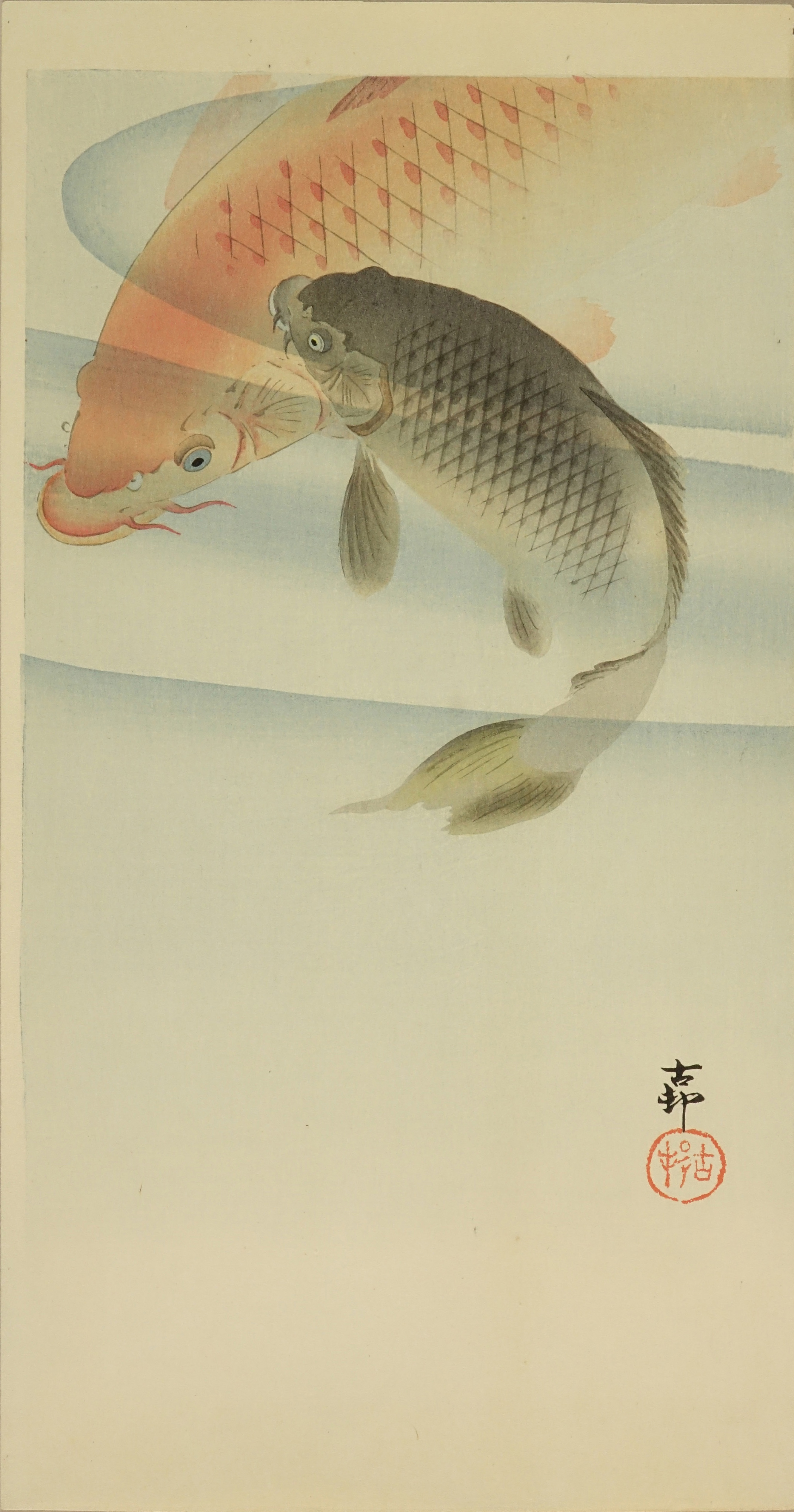 小原古邨 鯉 浮世絵 原書房 神田神保町