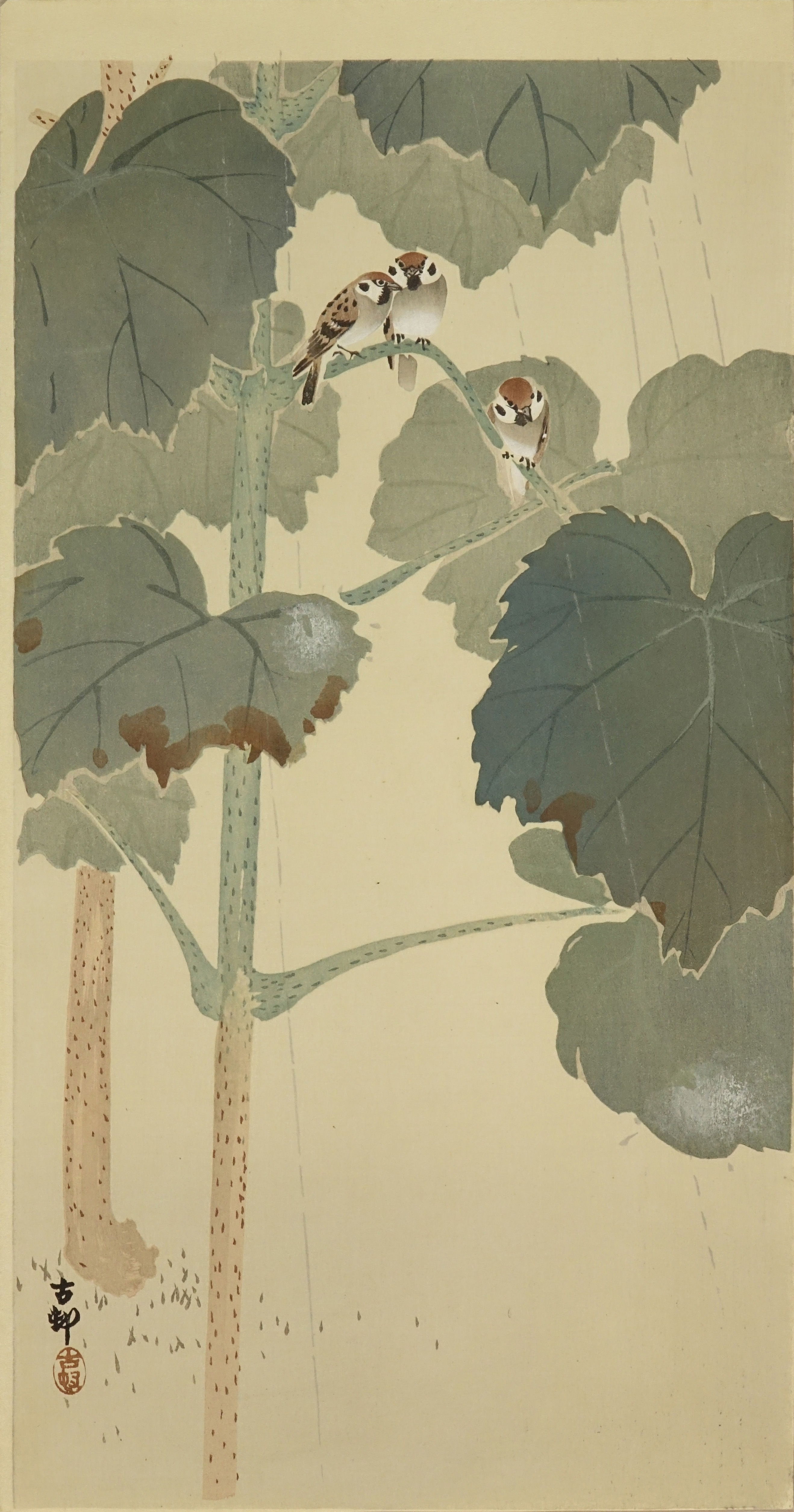 小原古邨 雨中の雀 | 浮世絵 | 原書房 神田神保町