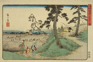 広重 東都名所 道灌山虫聞之図 | 浮世絵 | 原書房 神田神保町