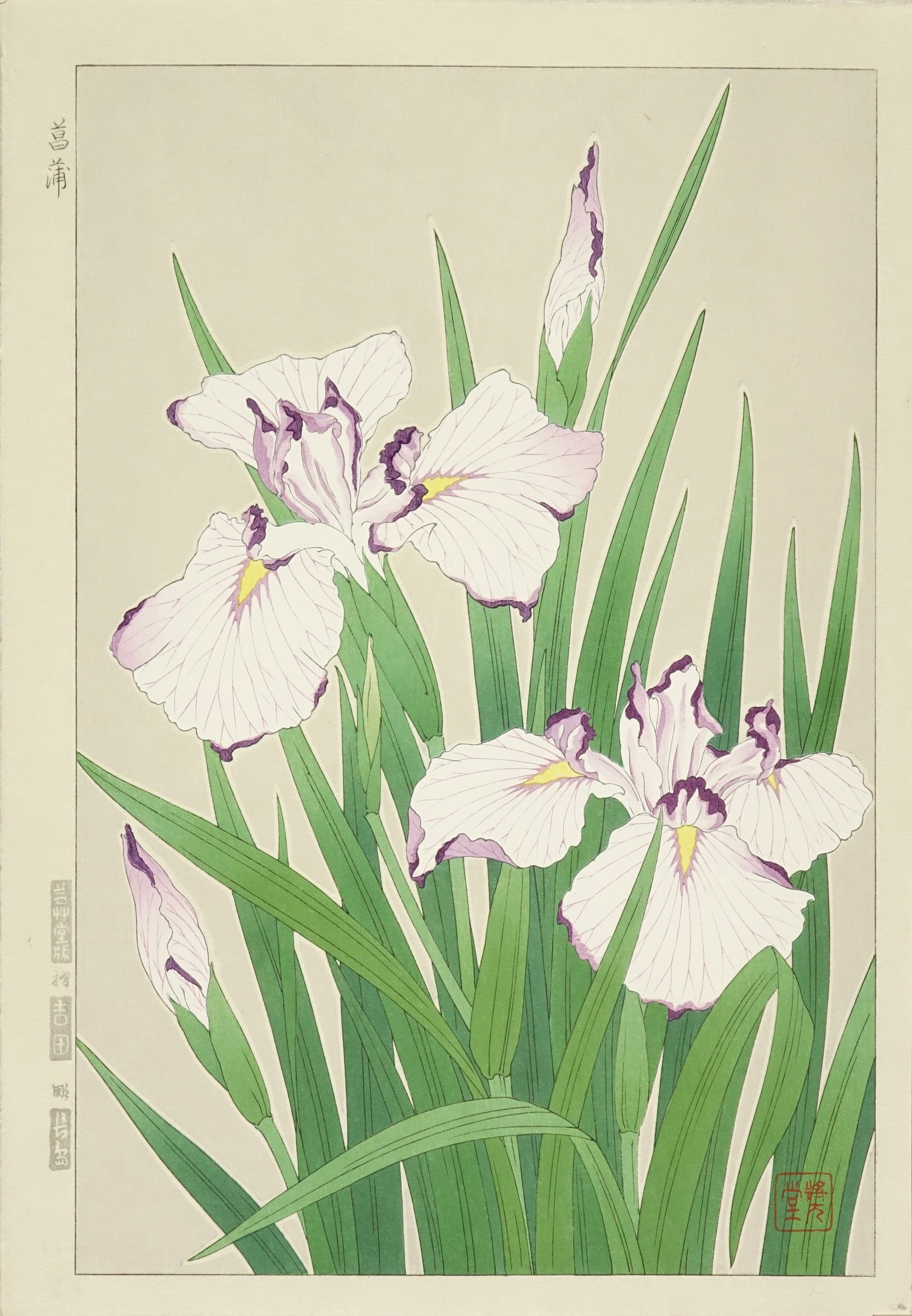河原崎奨堂 菖蒲 | 浮世絵 | 原書房 神田神保町