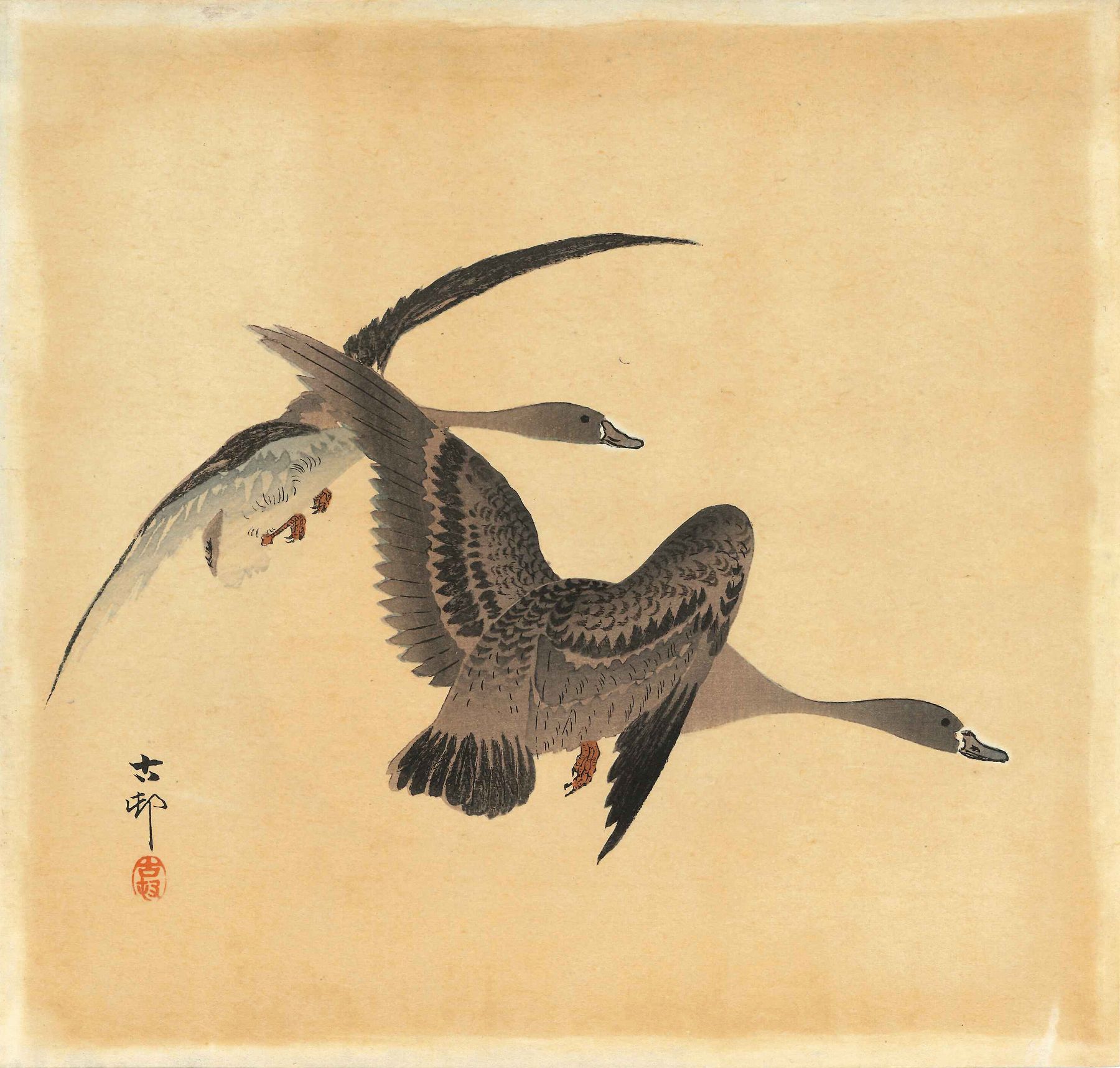 古邨 雁 | 浮世絵 | 原書房 神田神保町