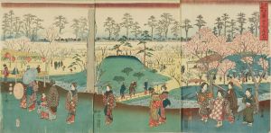 広重/浅草金龍山奥山花屋敷のサムネール
