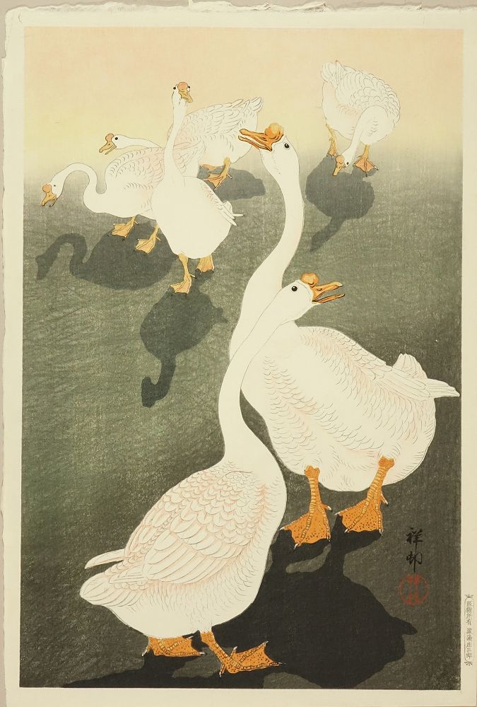 小原祥邨 鵞鳥 | 浮世絵 | 原書房 神田神保町