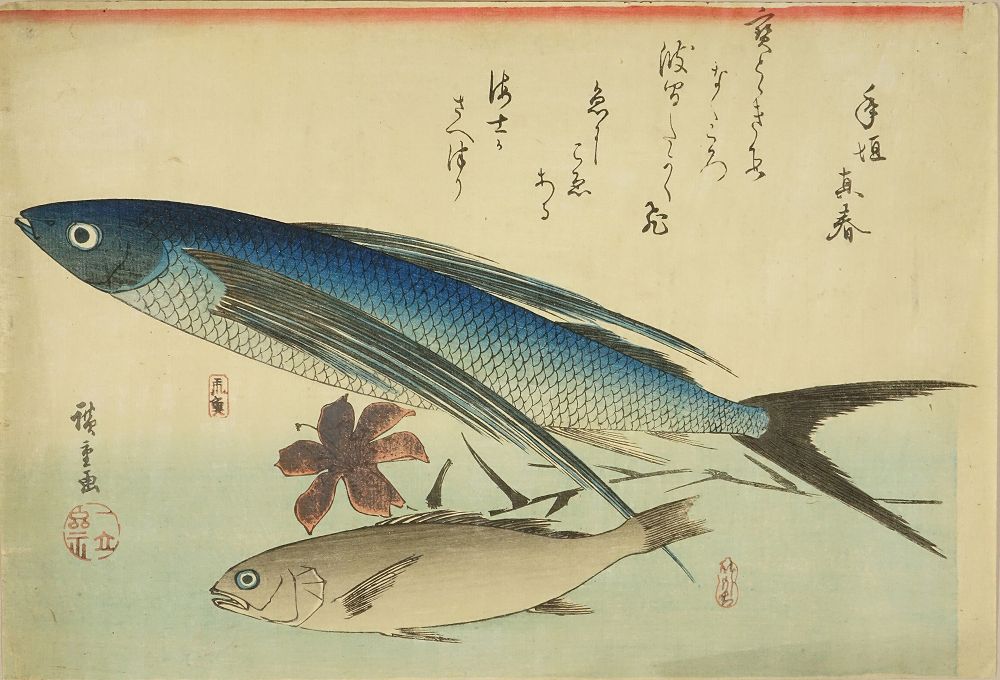 広重 魚づくし 飛魚 いしもち | 浮世絵 | 原書房 神田神保町