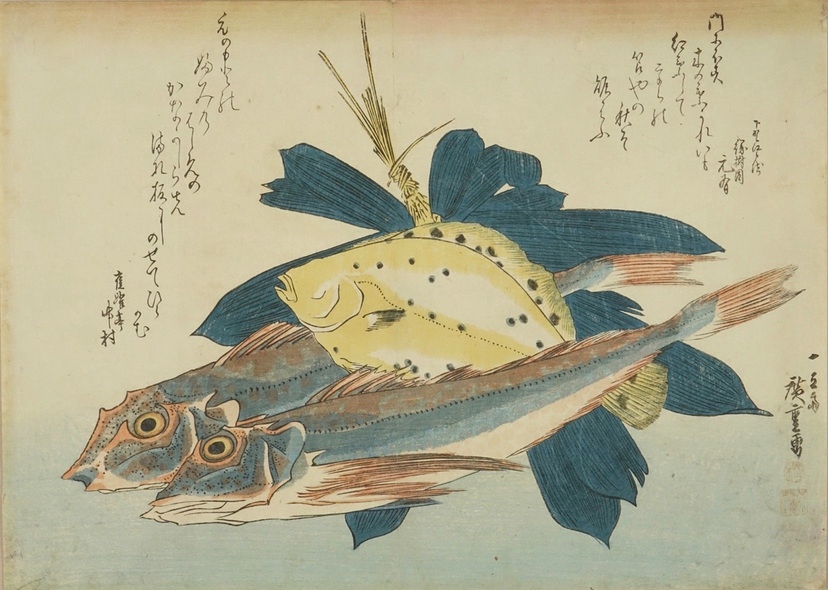 【広重】名作「魚づくし 鯉」浮世絵 木版画 永寿堂版・山庄版コレクション 広重 広重魚づくし 分売 ： 鯉 （コイ）(歌川広重) / 古本、中古本