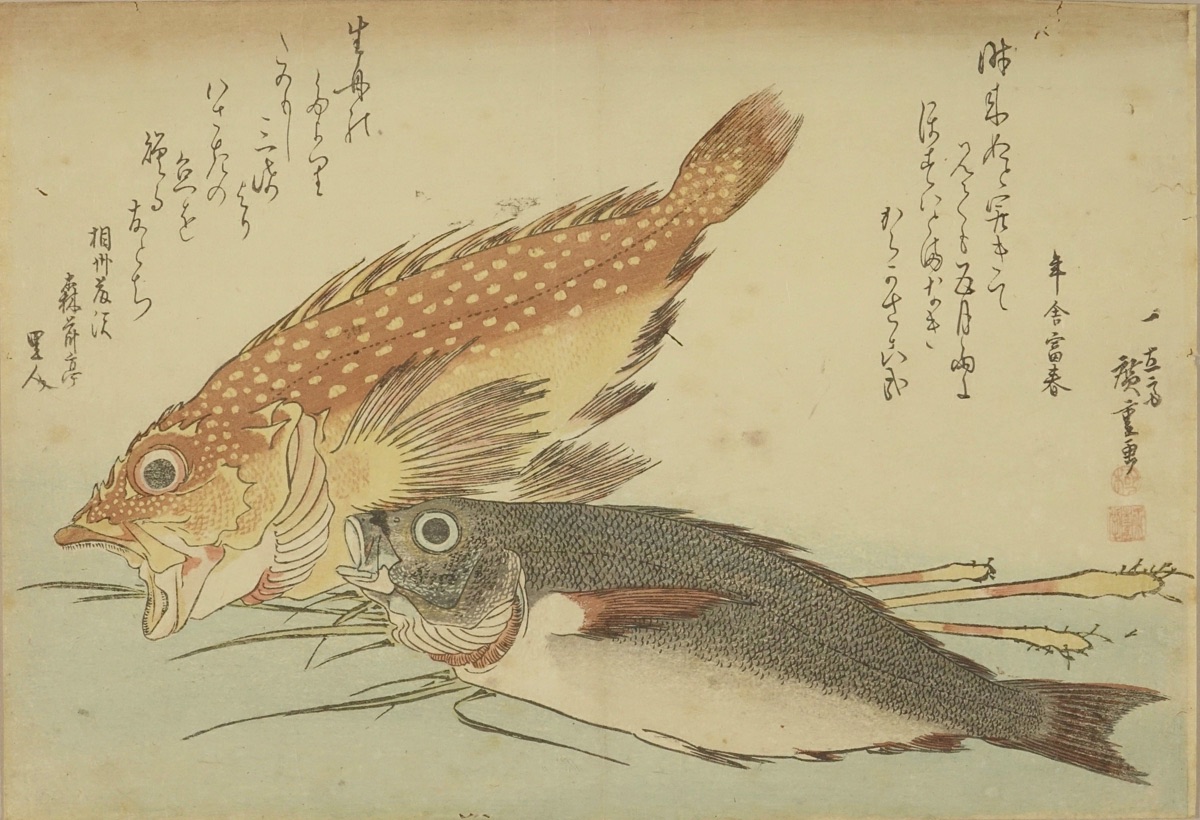 【海外限定】 | かさご いさき 魚づくし 広重 浮世絵 神田神保町 原書房 | 工芸品