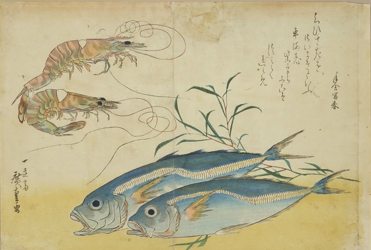 広重 魚づくし あじ 車海老 | 浮世絵 | 原書房 神田神保町