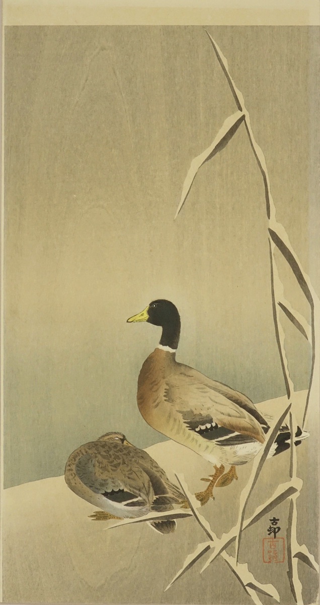 小原古邨 真鴨 | 浮世絵 | 原書房 神田神保町