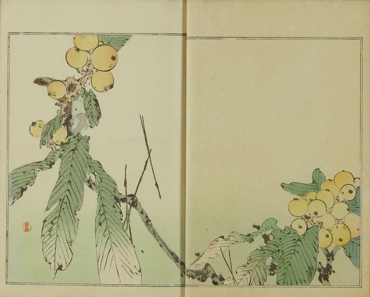 名家書画圖録 全四巻 元帙入 渡邉省亭著