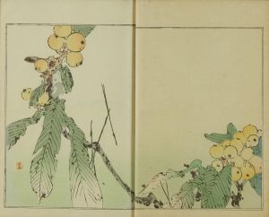 渡辺省亭 省亭花鳥画譜 2巻 渡辺省亭画 明治23年 (1890) 刷良 保存良