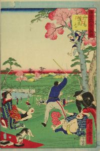 一景/東京名所三十六戯撰 向島蓮華寺のサムネール