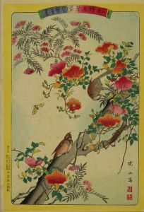 暁山/艸木華鳥図会　十一　山雀、合歓木、陵雀花のサムネール