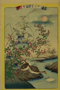 暁山 艸木華鳥図会 月落雁 女郎花 桔梗 萩 | 浮世絵 | 原書房 神田神保町