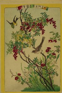 暁山 艸木華鳥図会 九 鵙 青鵄 南天 水仙 寒菊 | 浮世絵 | 原書房 神田