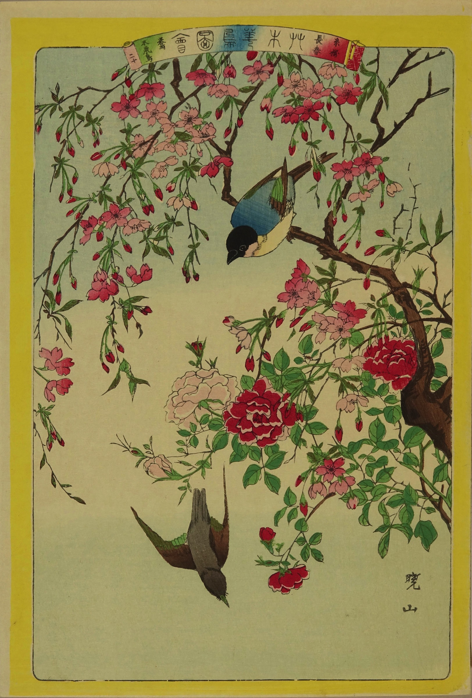 暁山 艸木華鳥図会 二十 鶯 木鼡鳥 糸梅 長春 | 浮世絵 | 原書房