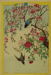 暁山 艸木華鳥図会 二十 鶯 木鼡鳥 糸梅 長春 | 浮世絵 | 原書房 神田