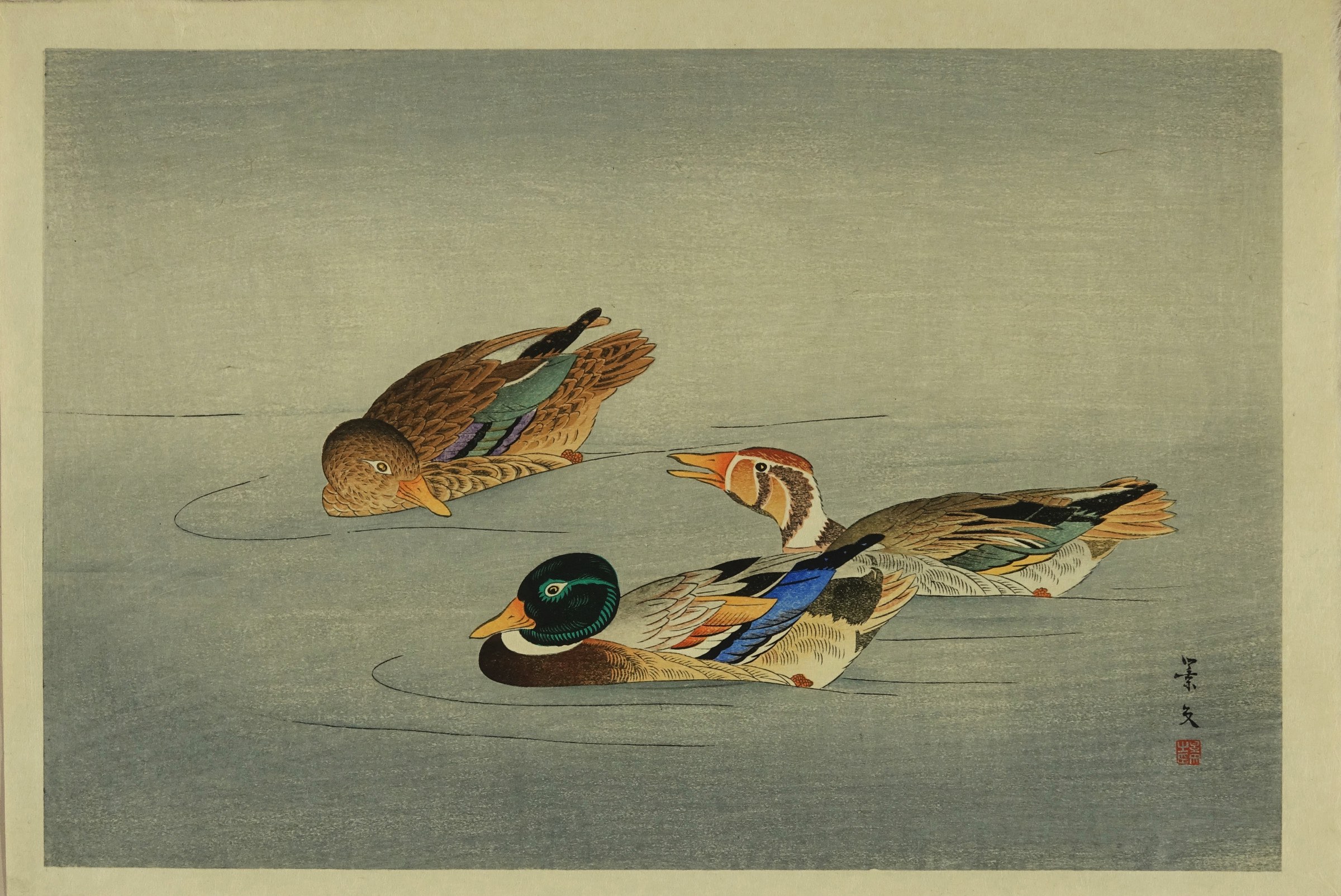 油絵　写実画　原画　小作品　動物　鴨　額付き　全国展受賞作品 油絵 写実画 原画 小作品 動物 鴨 額付き 全国展受賞作品 油絵写実