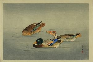 景文 鴨 | 浮世絵 | 原書房 神田神保町