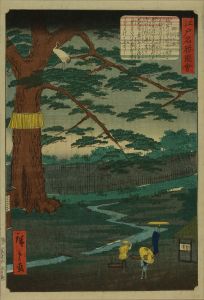 HIROSHIGE II/Miyuki pine tree, from <i>Edo meisho zue</i> (Pictures of famous views of Edo)