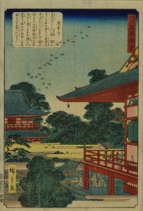 HIROSHIGE II/Sensoji Temple, from <i>Edo meisho zue</i> (Pictures of famous views of Edo)