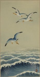 WATANABE SEITEI/Seagull