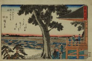 HIROSHIGE/View of Saruwakacho seen from Matsuchiyama, from <i>Toto meisho</i> (Famous places of the eastern capital)