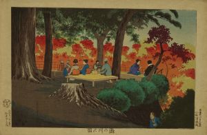 KIYOCHIKA/View of Takinogawa, from <i>Tokyo meisho</i> (Famous places of Tokyo)