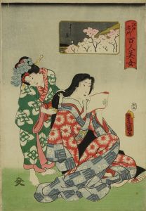 豊国三代/江戸名所百人美女　よし原のサムネール
