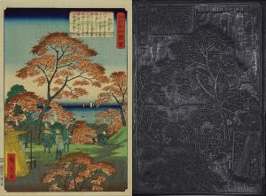 HIROSHIGE II/Kaianji Temple, from <i>Edo meisho zue</i> (Pictures of famous views of Edo), key block and print