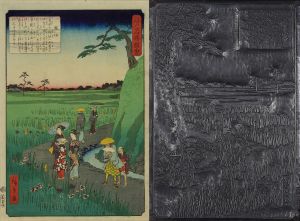 HIROSHIGE II/Horikiri, from <i>Edo meisho zue</i> (Pictures of famous places of Edo), key block and print