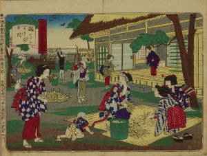 幾英/皇国養蚕図会　十四 繭マブシより出す図のサムネール