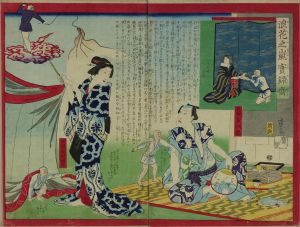 広重三代/浪花之嵐実録噺のサムネール