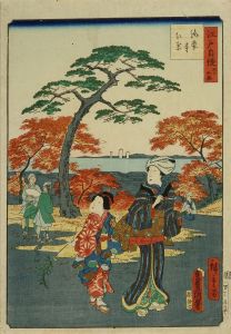 TOYOKUNI III / HIROSHIGE II/Autumn leaves at Kaian Temple, from */Edo jiman sanju rokko/* (Thirty-six famous things of Edo)のサムネール