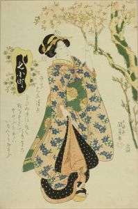 KUNISADA/Beauty viewing cherry blossom, from */Nana Komachi/* (Seven episodes of Ono no Komachi)のサムネール