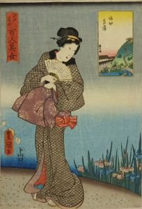 豊国三代/江戸名所百人美女　堀切菖蒲のサムネール