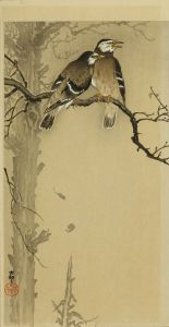 OHARA KOSON/Starlingsのサムネール