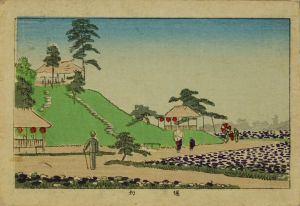 YASUJI/Iris garden at Horikiri, from */Tokyo shinga meisho zukai/* (True pictures of famous places of Tokyo)のサムネール